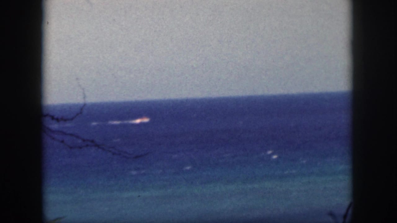 Distant boat speeds across blue water beyond a dark center frame and thin foreground branches.