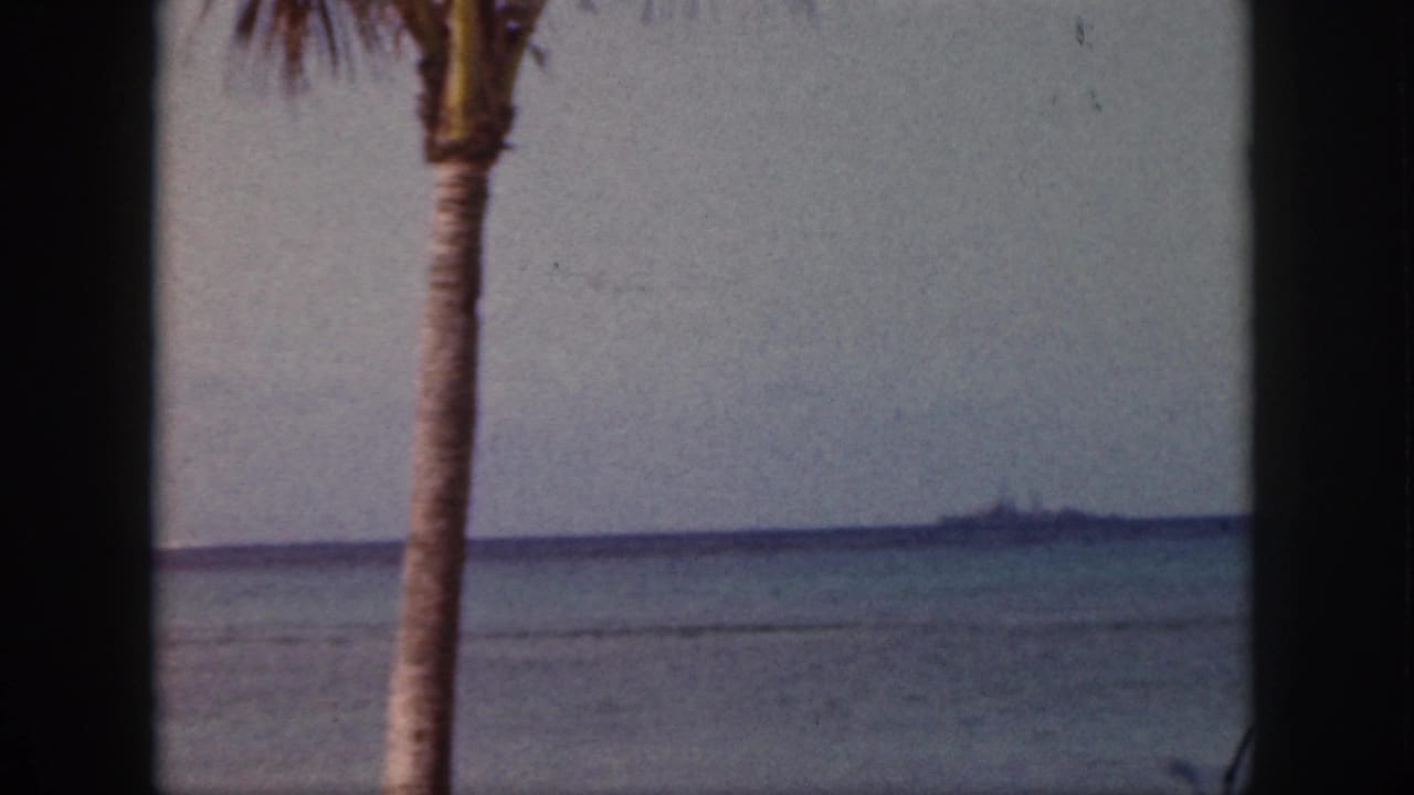 1959 Oahu 8mm frame showing a palm trunk, dark window edge, pale sky, and calm turquoise water stretching to the horizon.