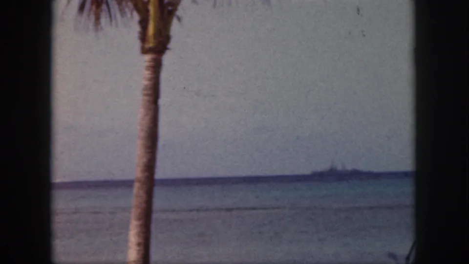 1959 Oahu 8mm frame showing a palm trunk, dark window edge, pale sky, and calm turquoise water stretching to the horizon.