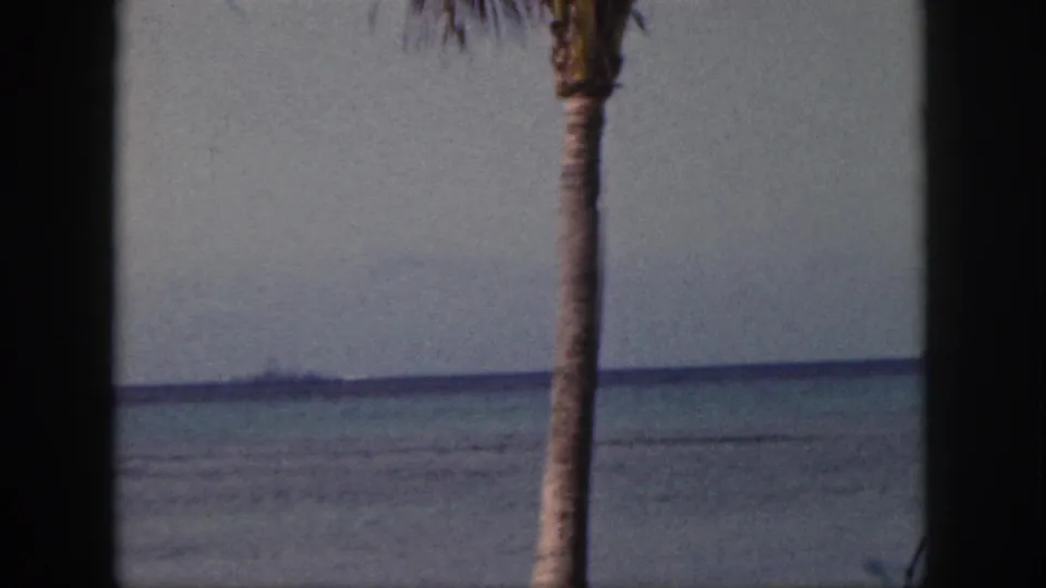 1959 Oahu home-movie view with a palm trunk, black frame divider, muted blue water, and faint land or reef line in the distance.
