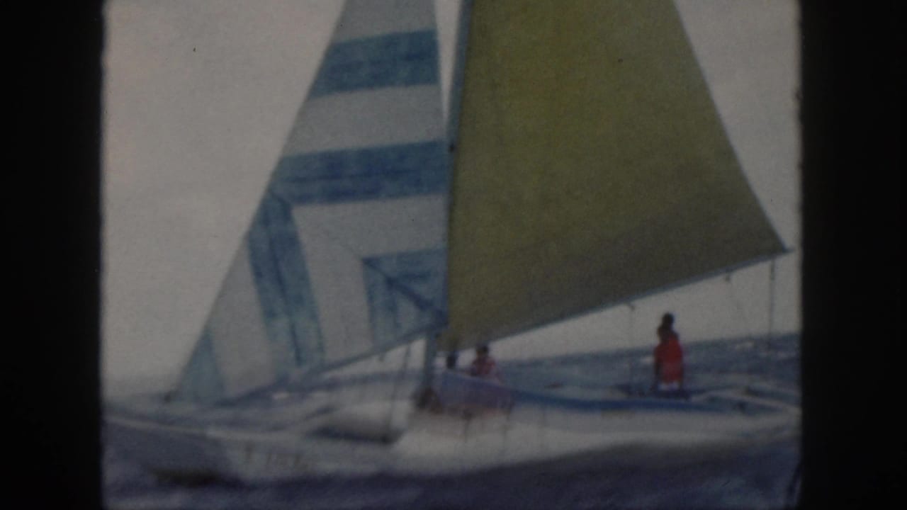 White catamaran with blue and yellow sails carrying people on rough water.