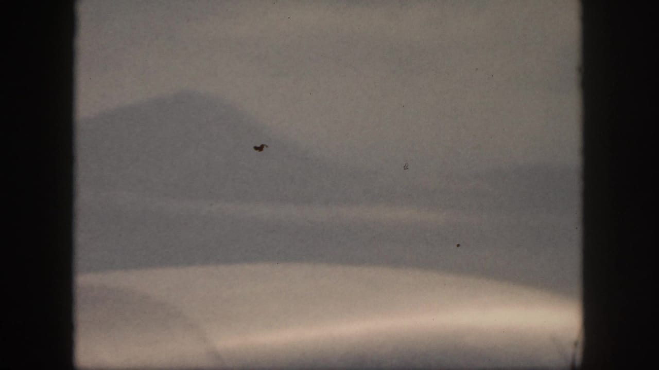 Soft view of water and distant mountains with dark borders and visible film specks.