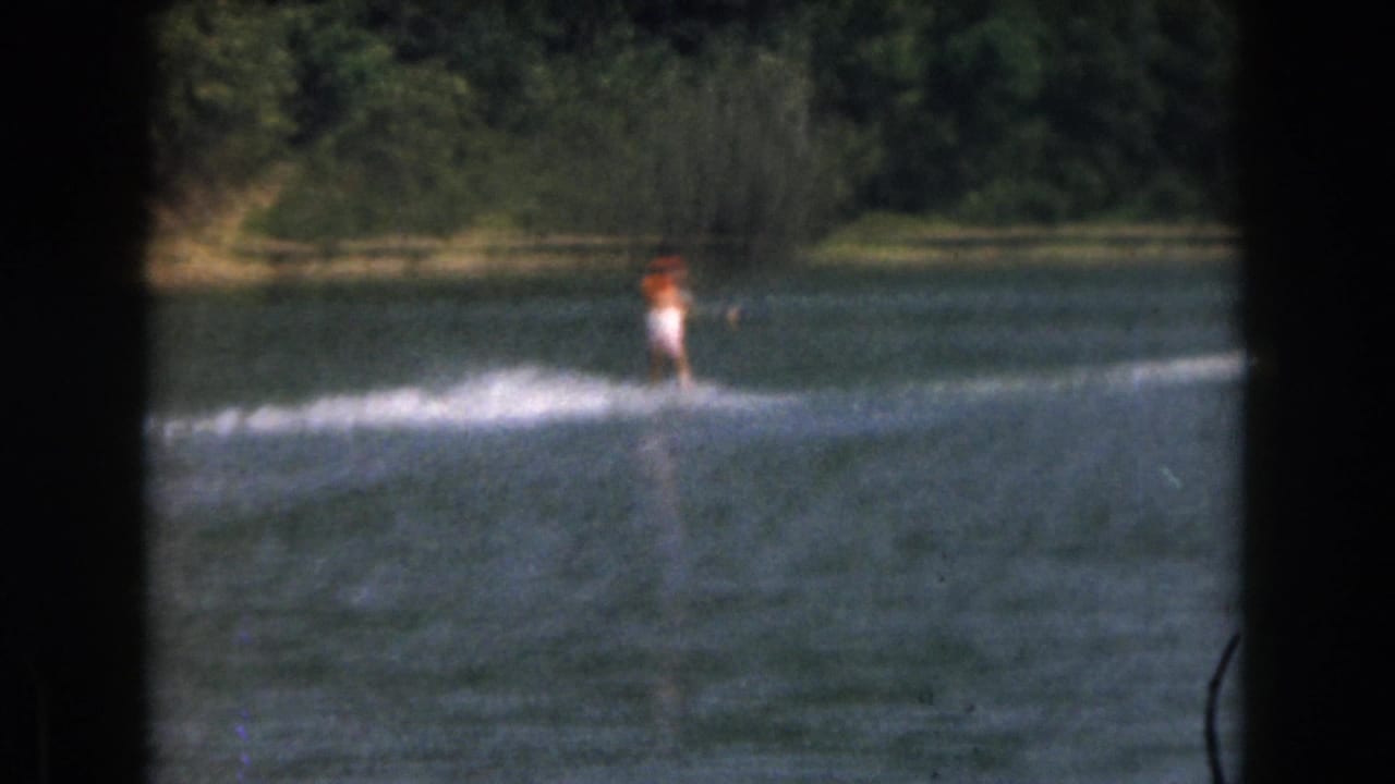 Water skier crossing a lake with white spray behind them and trees along the far shore.