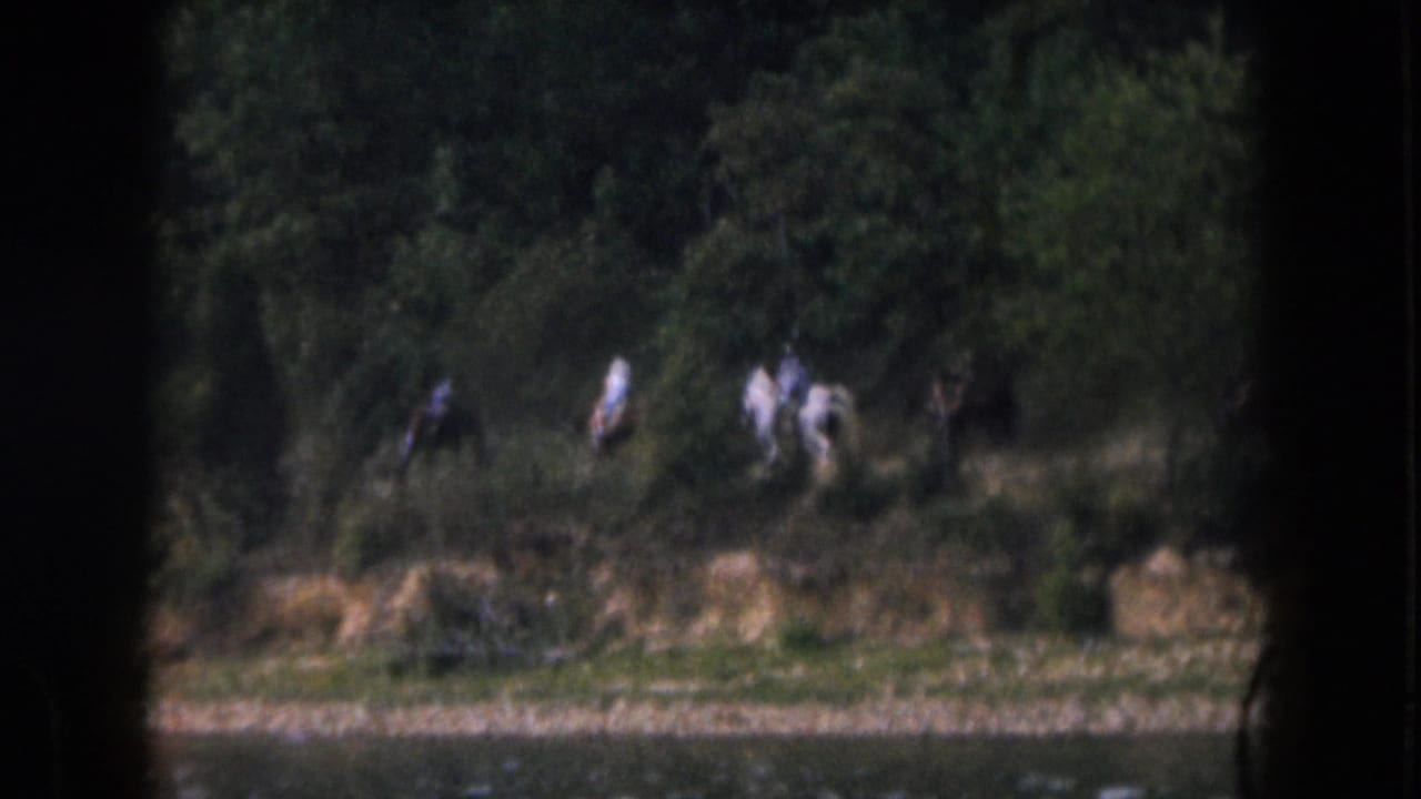 1961 Michigan home-movie frame showing distant riders along a wooded lakeshore viewed from across the lake.