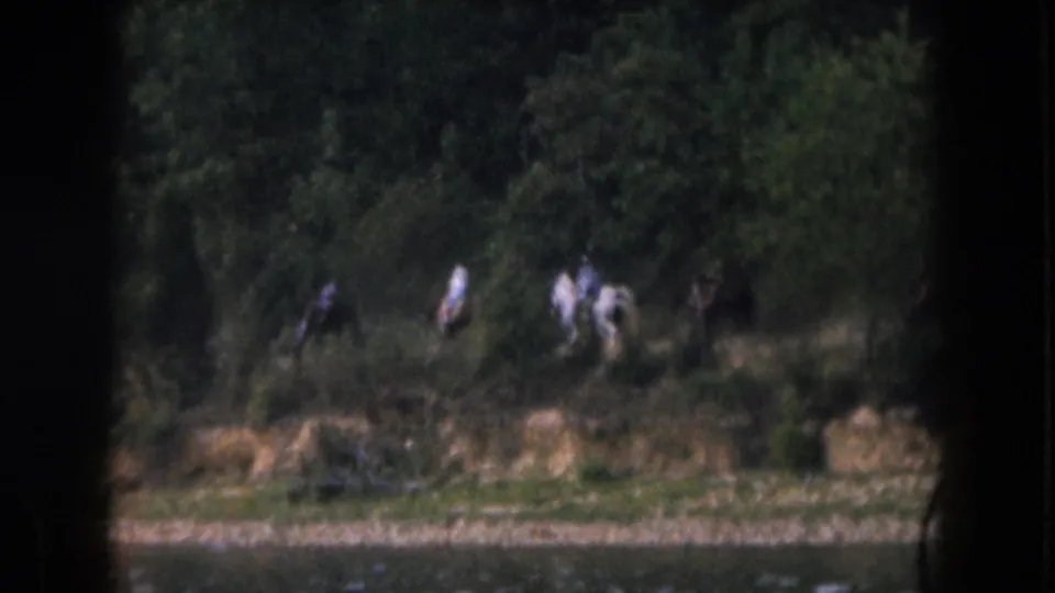 1961 Michigan home-movie frame showing distant riders along a wooded lakeshore viewed from across the lake.