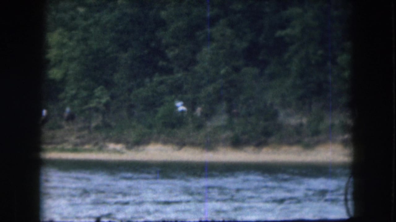 1961 Grand Rapids lake view with rippled water in front of dense trees and a distant pale figure near the shoreline.