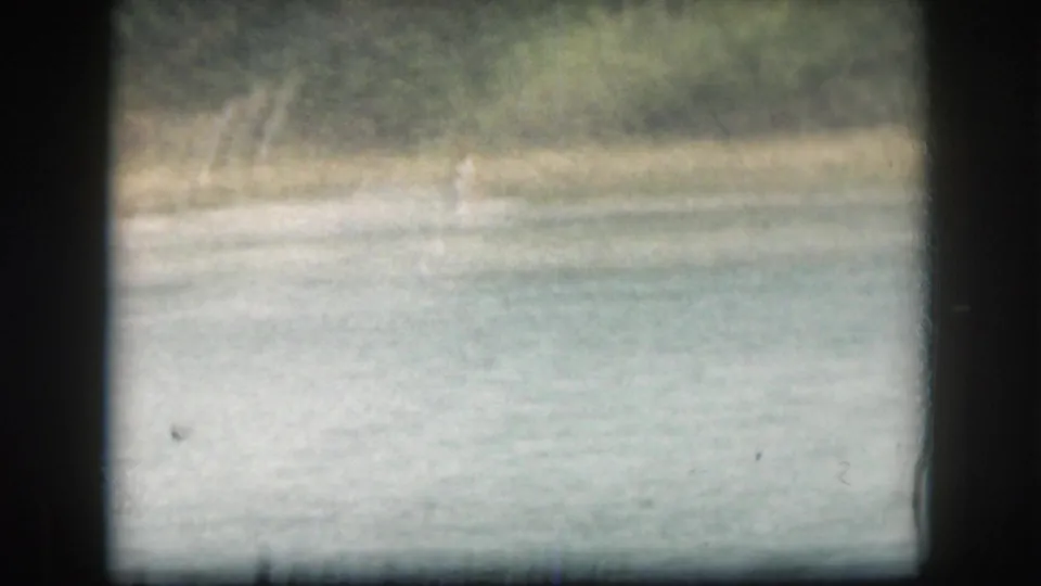 1961 Grand Rapids lake frame with pale water, soft shoreline vegetation, and heavy home-movie exposure variation.