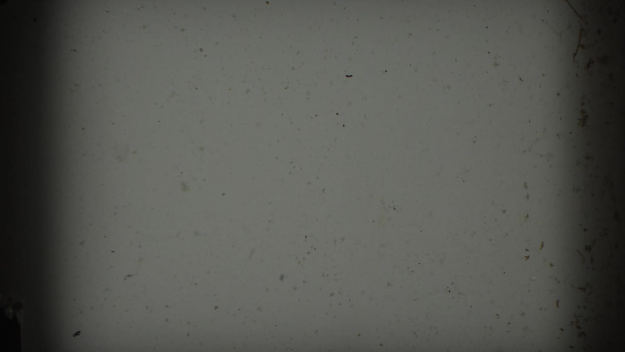 Mostly blank film frame with dark edge and dust, with no clear subject visible.