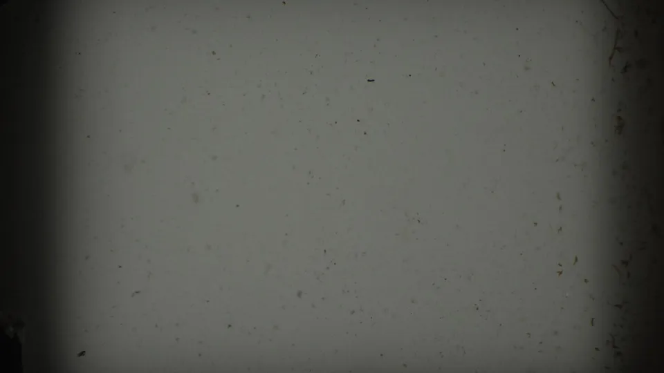 A transitional 8mm frame shows pale exposed film area, dark gate edge, dust, and scratches before the boat becomes visible.