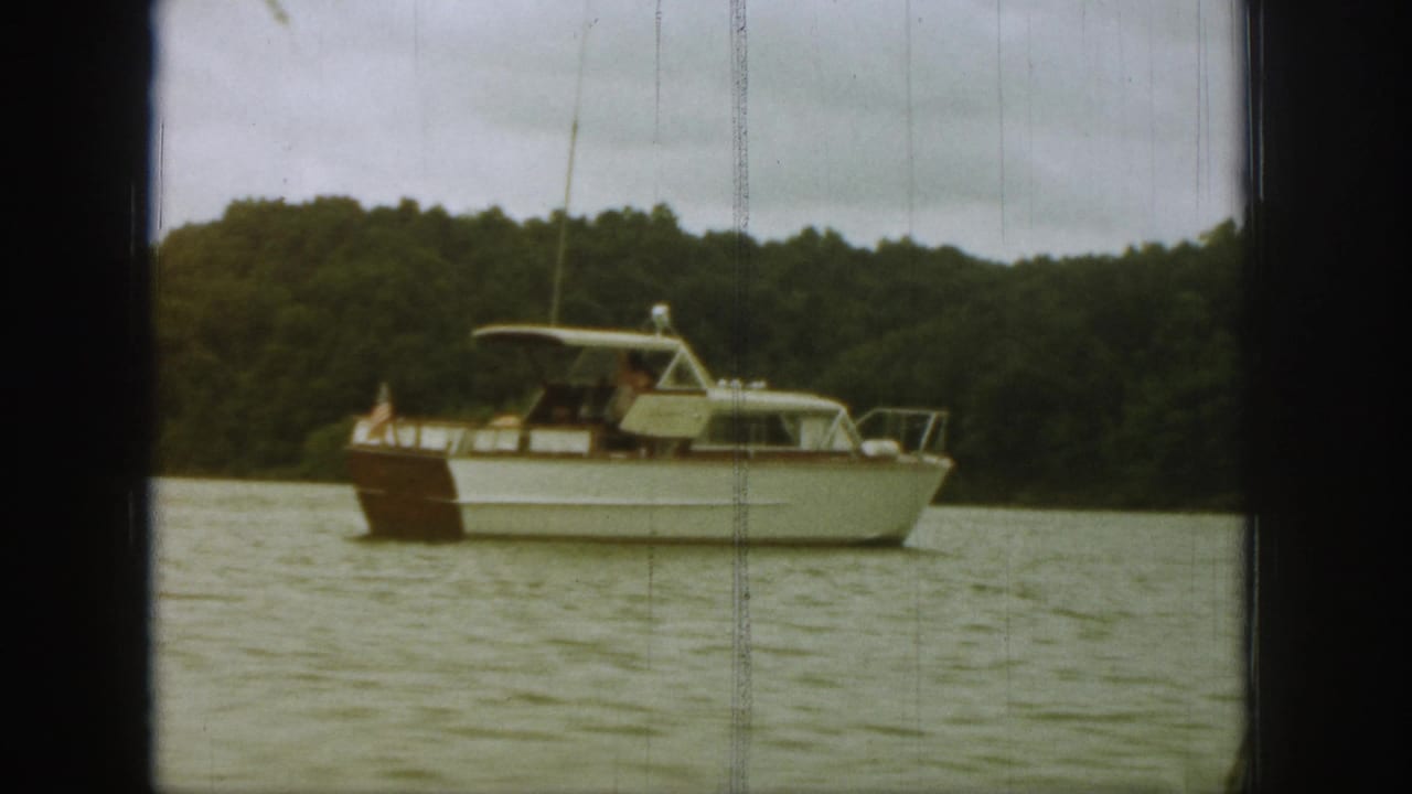 Motorboat with canopy and flag floating near a tree-lined shore.