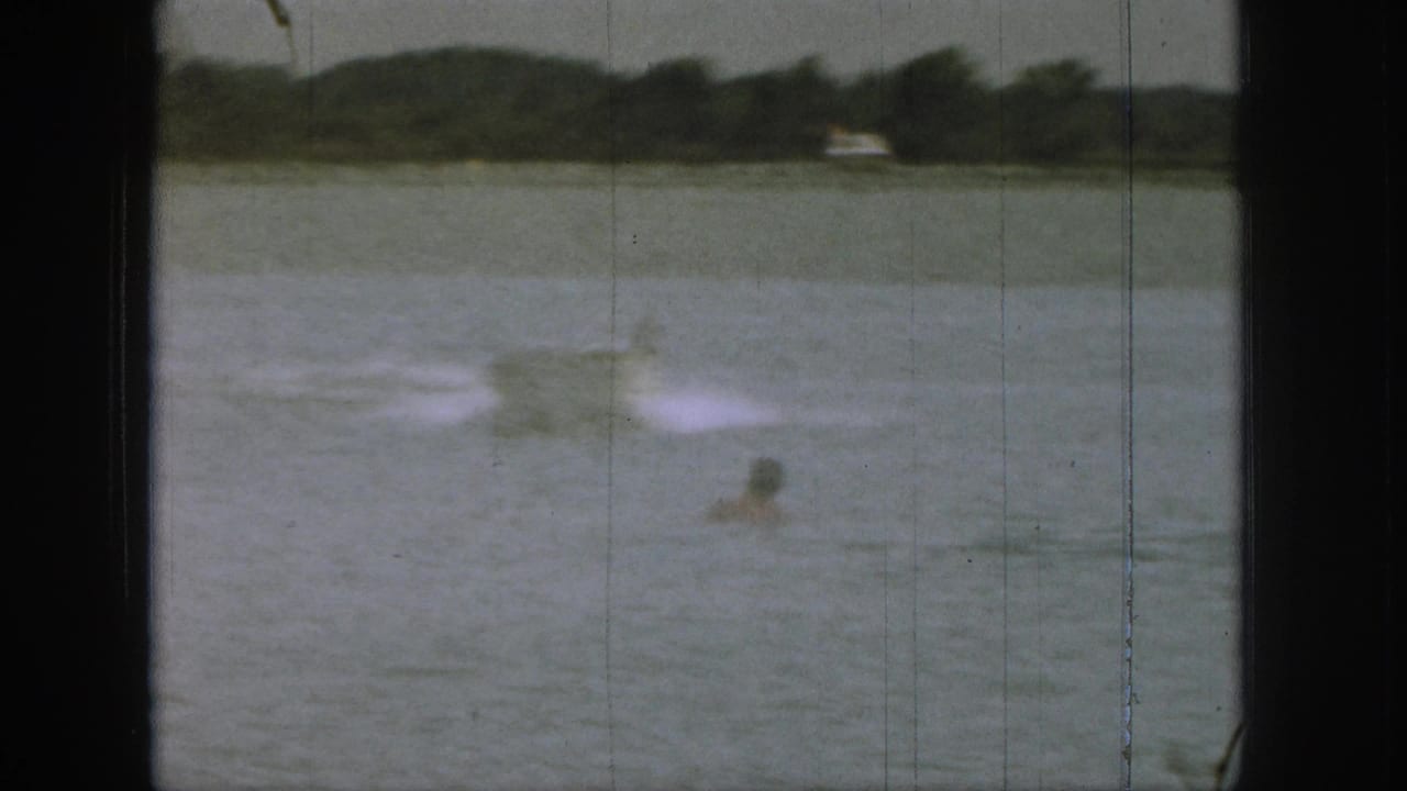 Distant swimmer in a lake with white wake and tree-lined shore beyond.
