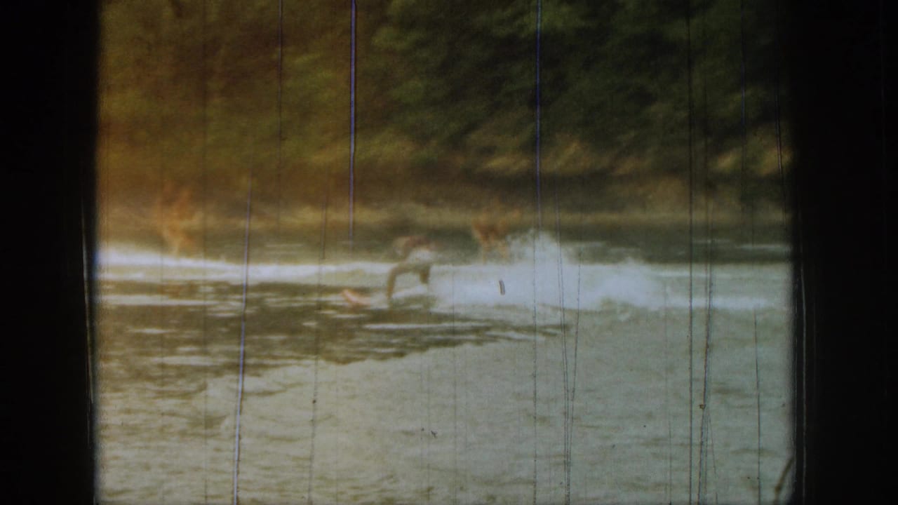 Distant surfer rides a small wave near shoreline vegetation on open water.