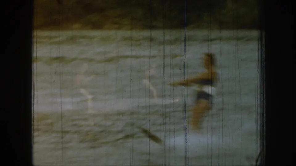 1961 Michigan lake footage shows a person in dark swimwear moving quickly across the water with wake and spray visible.