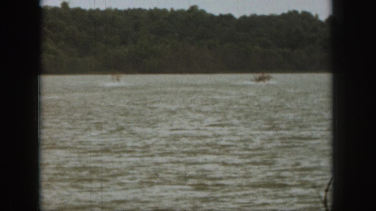 Wide lake view with boat wake, a distant skier, and forest along the far shore.