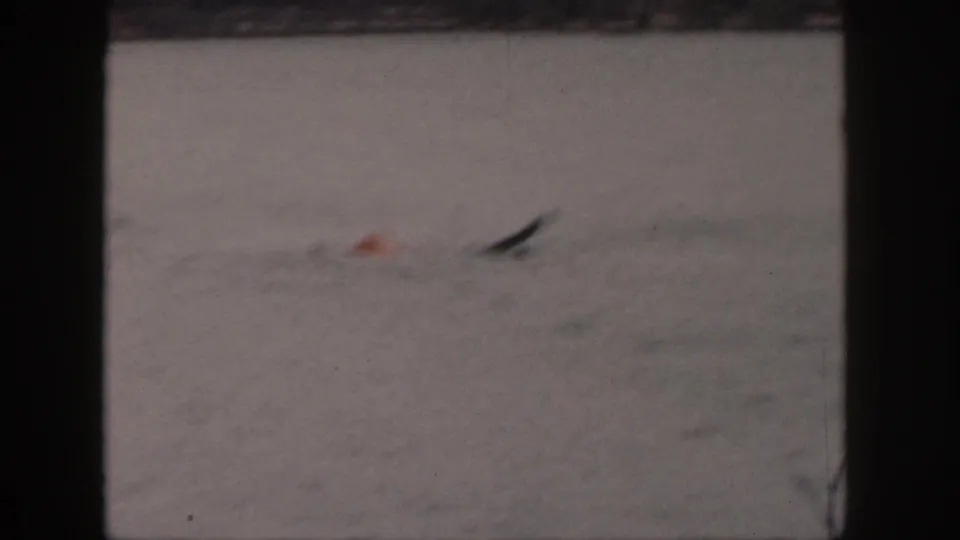 After the fall, the skier is partly submerged in the Michigan lake, with spray and a dark ski shape visible in the 8mm frame.