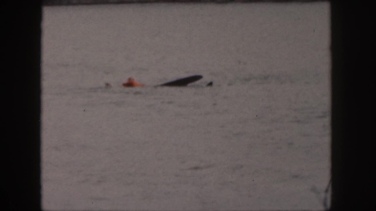 Person in an orange top struggles in lake water near a dark waterski or floating object.