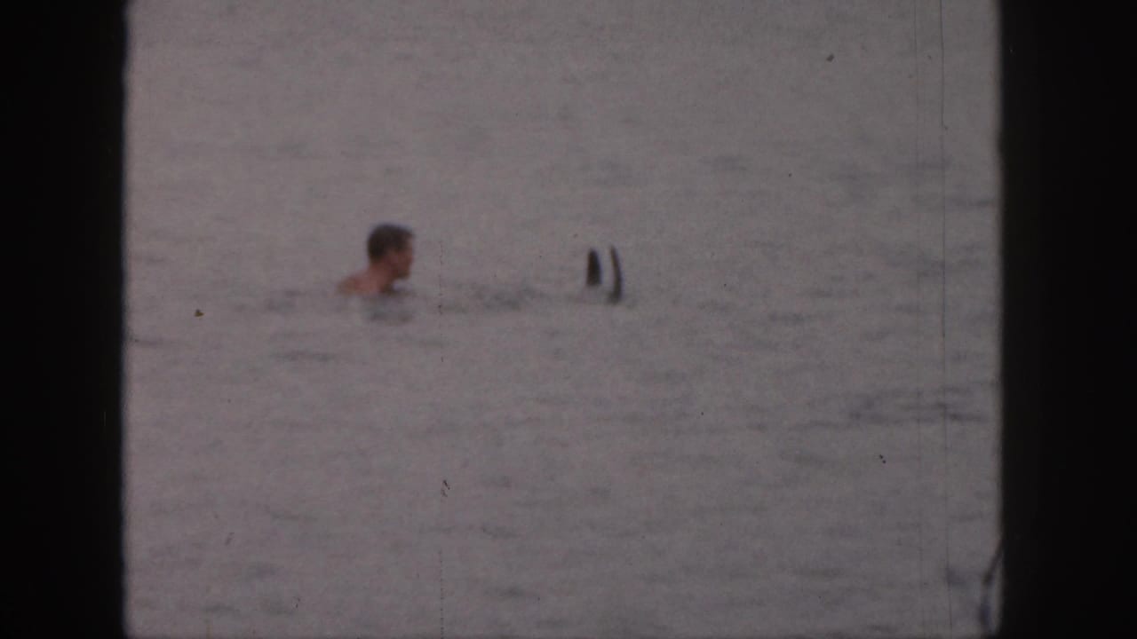 Adult swimmer in calm lake water with two upright skis or board tips nearby.