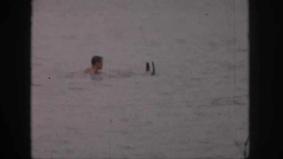 1961 Michigan 8mm frame showing an adult swimmer in open lake water with two dark upright ski or board tips nearby.