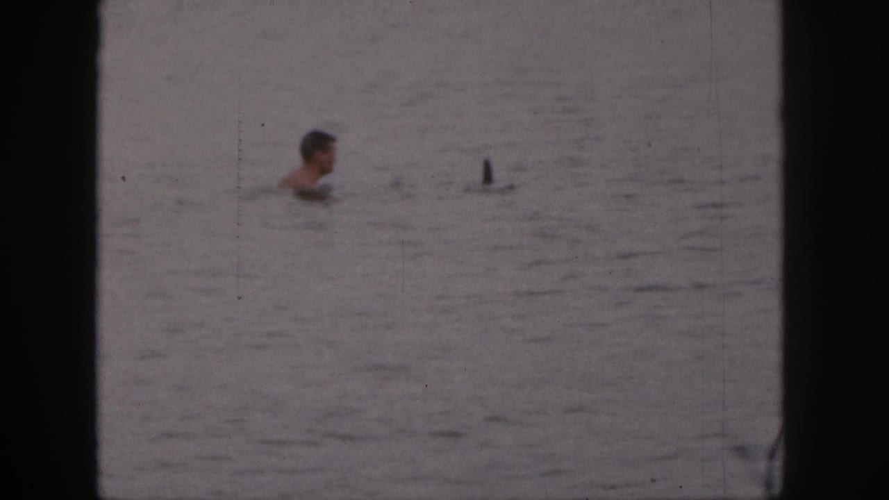 Adult swimmer in lake water beside a small dark upright object.