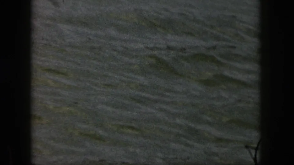 1961 Michigan 8mm frame dominated by rippling lake water, with the action mostly out of view and dark film edges visible.