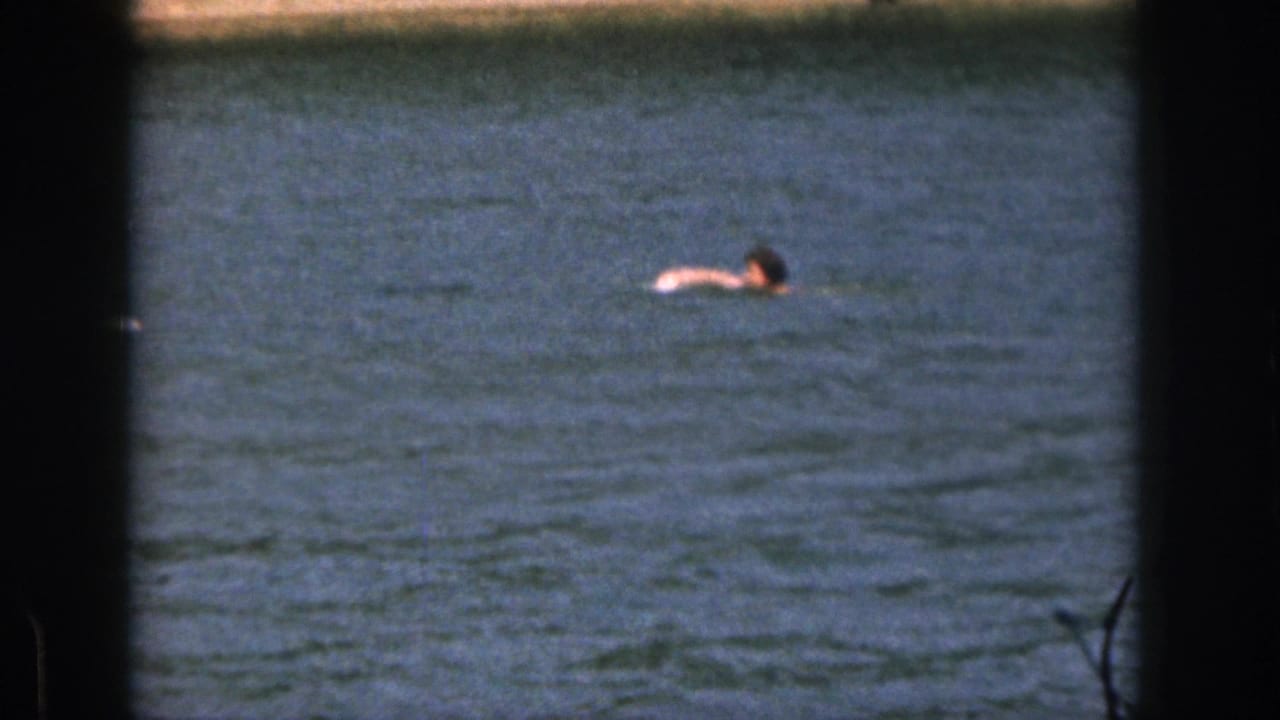 Swimmer moving across blue water, with head and arm visible near the surface.