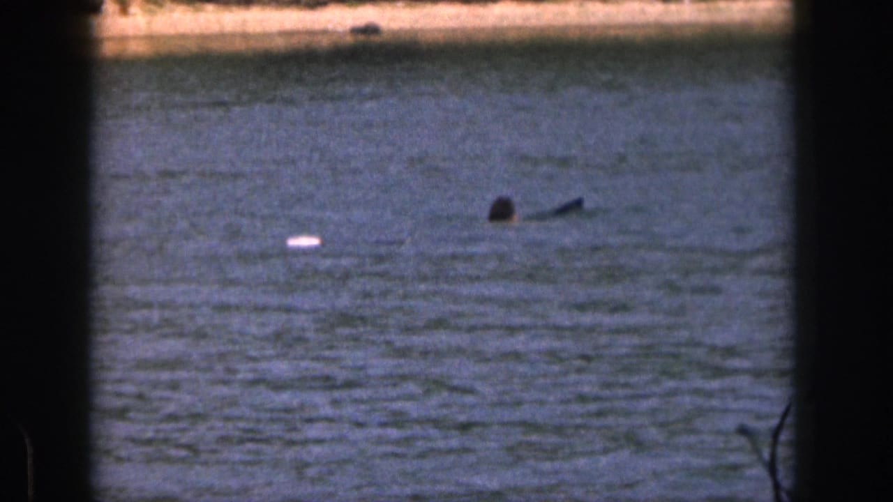 1961 Michigan lake footage showing a swimmer near a small floating object, with dark 8mm frame borders and shoreline in the background.