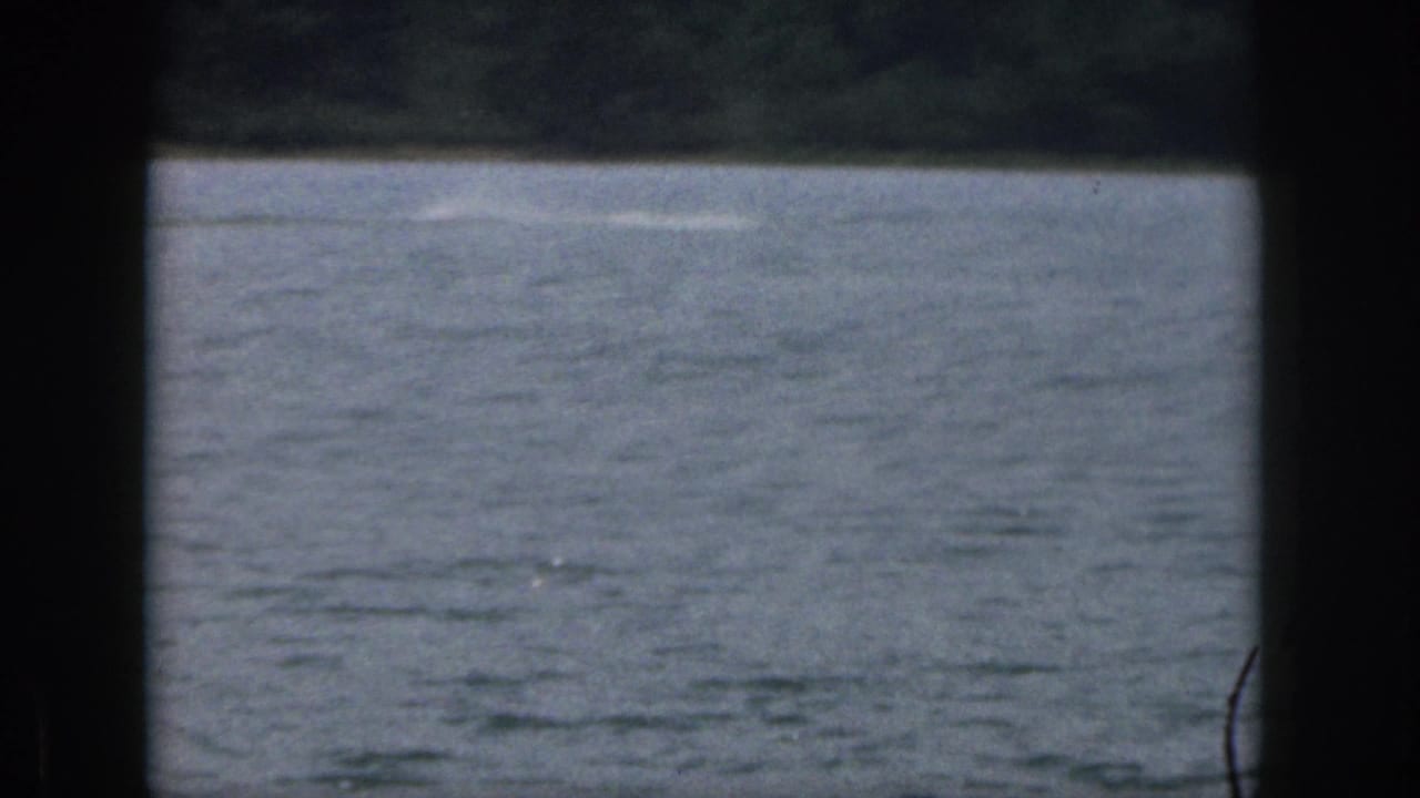 1961 Michigan 8mm home-movie frame showing lake water and a distant wooded shoreline through dark film gate borders.