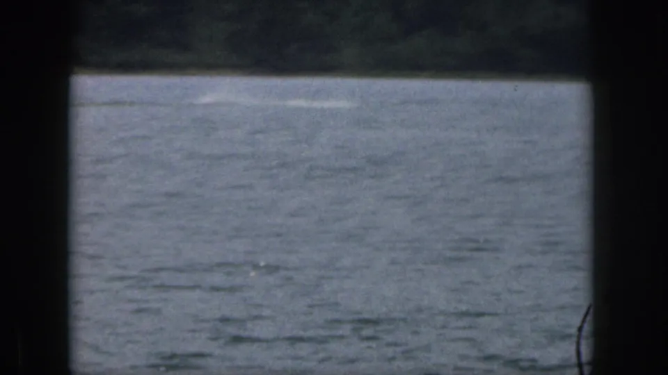 1961 Michigan 8mm home-movie frame showing lake water and a distant wooded shoreline through dark film gate borders.