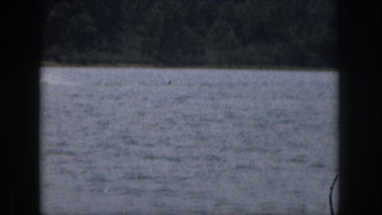 Open lake surface and distant treeline framed by dark vertical film borders.