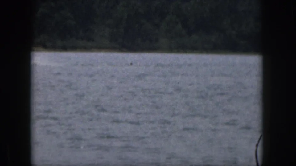 Distant Michigan lake view from 1961 home-movie footage, with rippled water, treeline, and visible film gate edges.