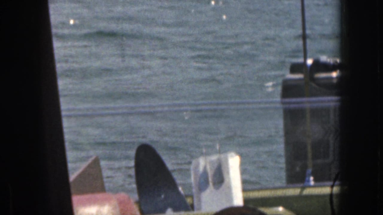 1961 Michigan home-movie frame looking across lake water through dark framing, with partial boat or dock objects at the lower edge.