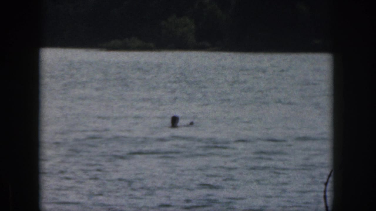 A swimmer appears in a Michigan lake in 1961, viewed from a distant home-movie camera with dark frame edges.
