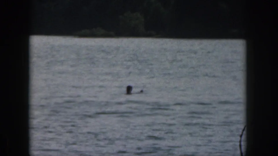 A swimmer appears in a Michigan lake in 1961, viewed from a distant home-movie camera with dark frame edges.