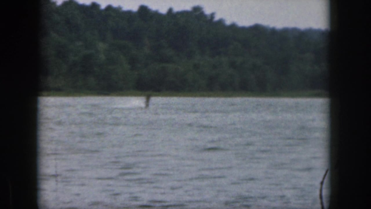 Soft 8mm frame from Michigan in 1961 showing rippled lake water, a distant vertical figure, and a tree-lined shore.
