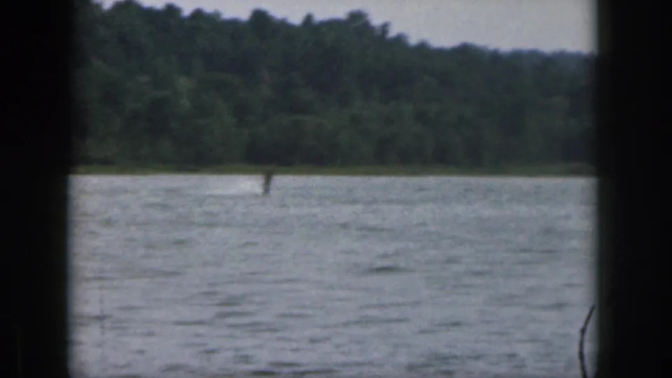 Soft 8mm frame from Michigan in 1961 showing rippled lake water, a distant vertical figure, and a tree-lined shore.
