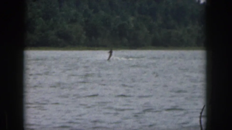 1961 Michigan 8mm frame showing a small, distant water skier over rippled lake water with dense trees in the background.