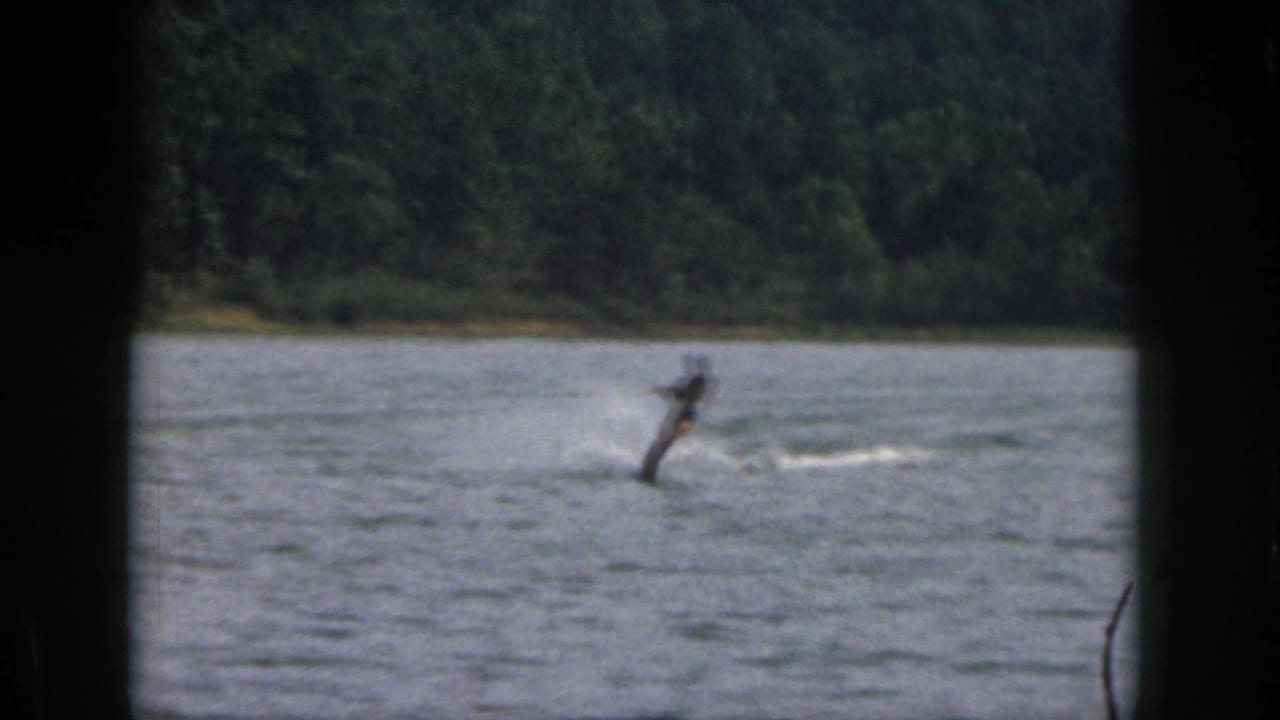 Adult water skier on a Michigan lake in 1961 metadata, seen at a distance within dark 8mm frame borders.