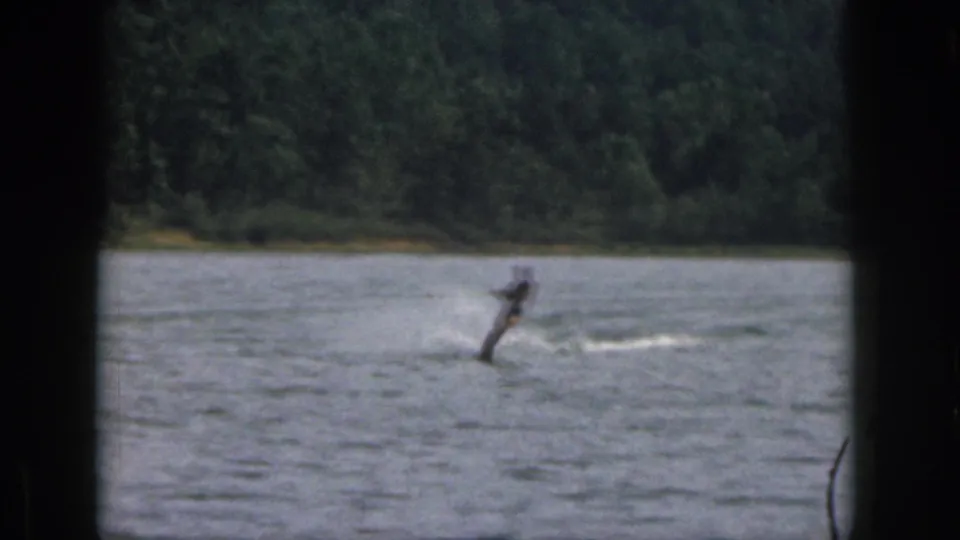 Adult water skier on a Michigan lake in 1961 metadata, seen at a distance within dark 8mm frame borders.