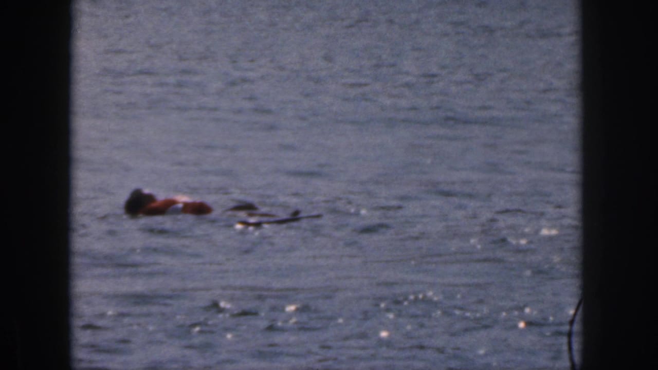 1961 Michigan 8mm frame showing an adult in an orange life jacket floating in rippled lake water near a dark object.