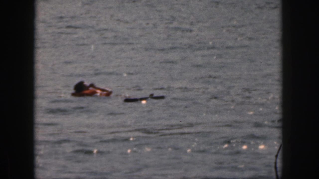 Adult in a life jacket swims across rippled water with a dark object nearby.