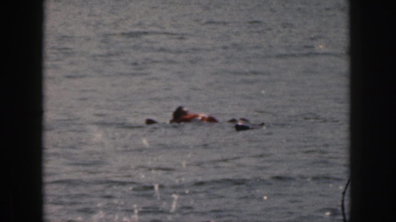 1961 Michigan 8mm frame showing two distant people in life vests on rippling water, partially obscured by a dark vertical edge.