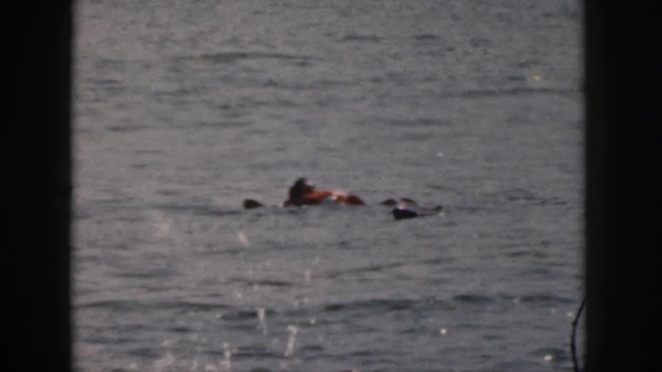 1961 Michigan 8mm frame showing two distant people in life vests on rippling water, partially obscured by a dark vertical edge.