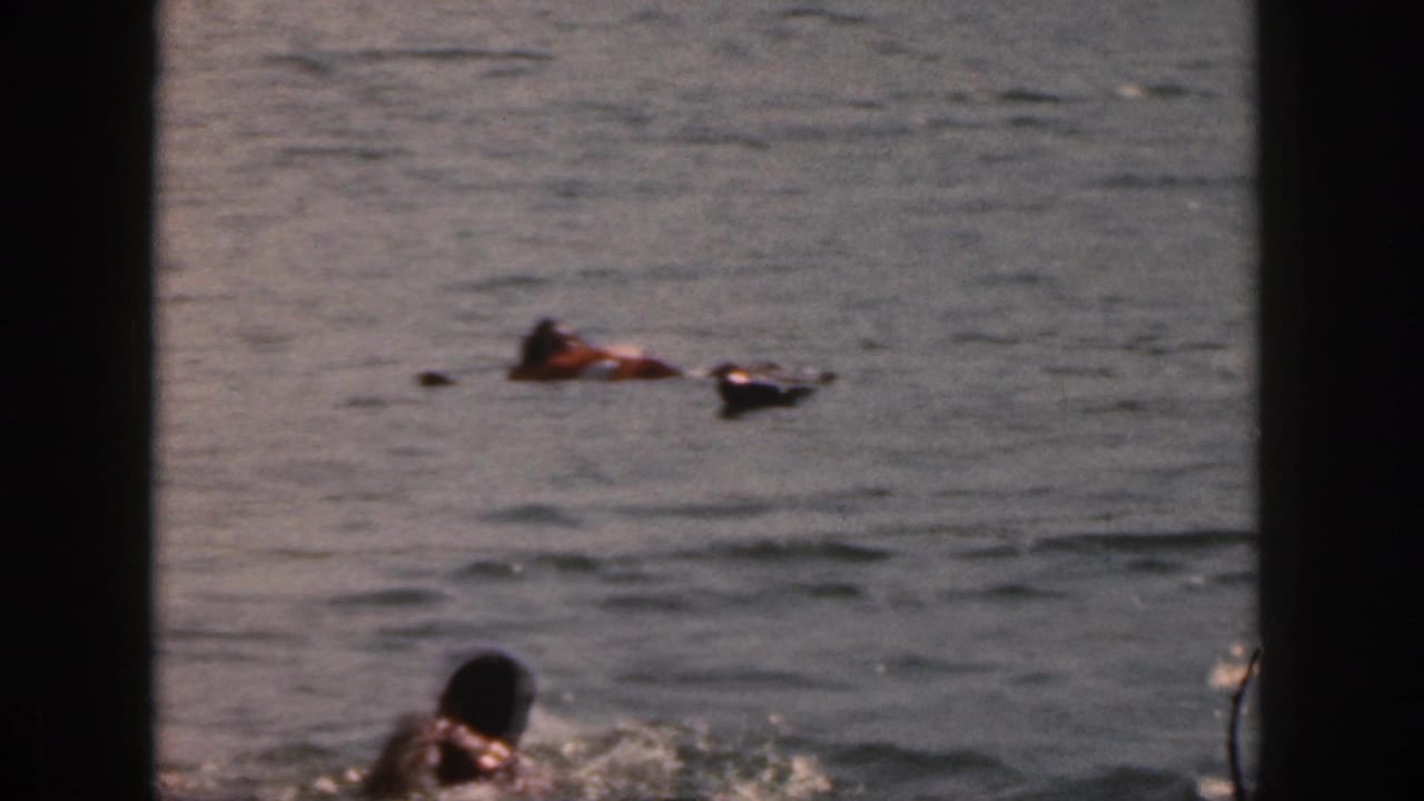 1961 Michigan home-movie frame with one person splashing nearer the camera and another life-vested figure farther away in open water.