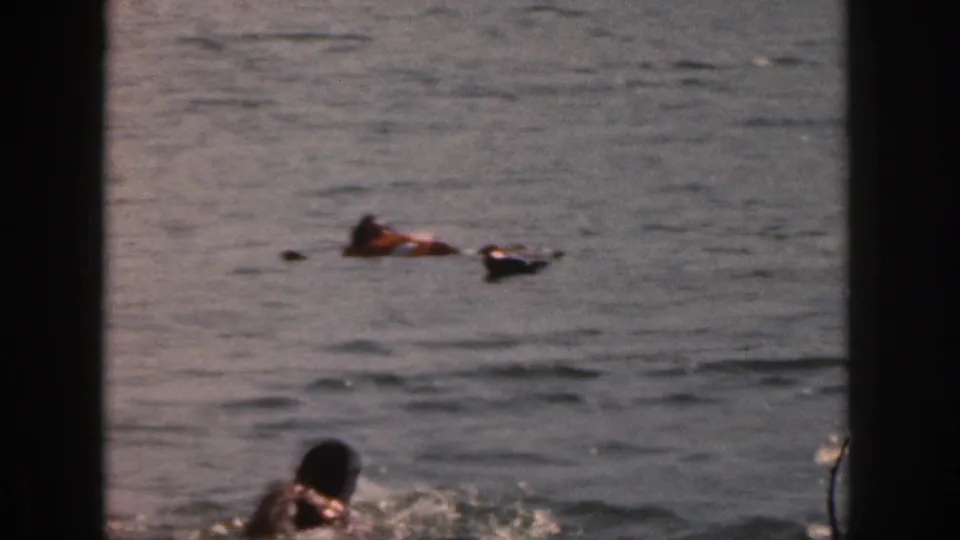 1961 Michigan home-movie frame with one person splashing nearer the camera and another life-vested figure farther away in open water.