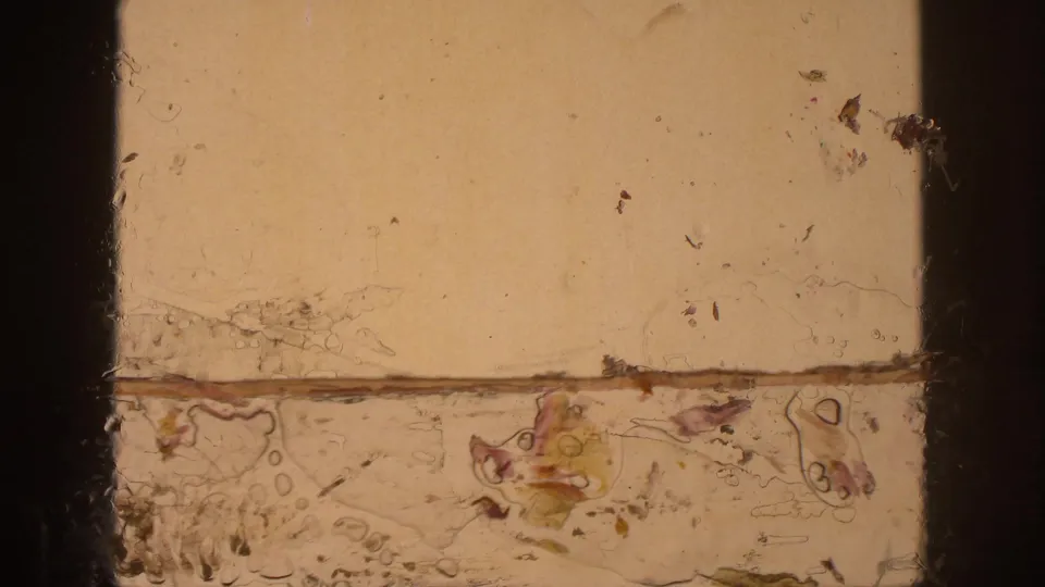 Close view of 8mm film texture from the 1961 Michigan reel, showing dust, scratches, and a horizontal frame boundary.