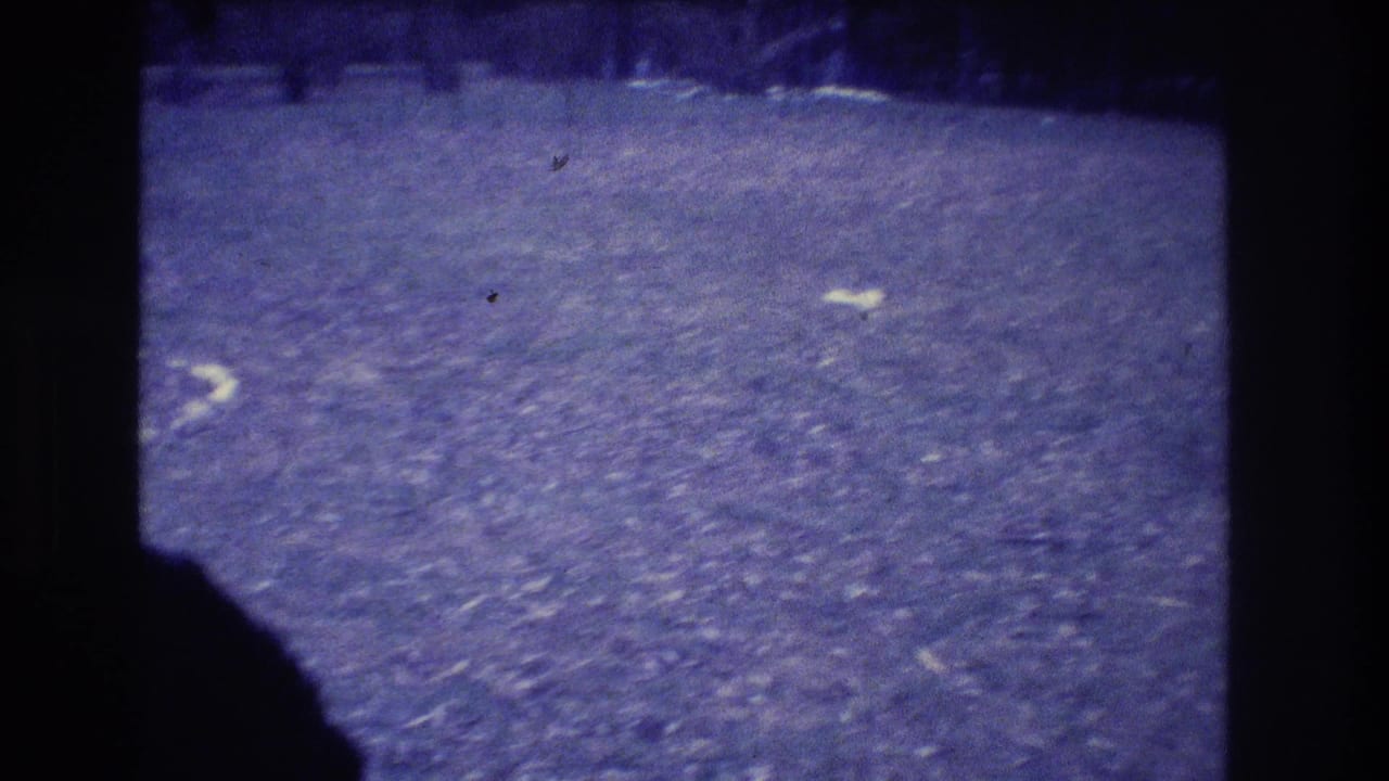 Grassy field with dark 8mm borders and a partial shadowed shape at the lower left.
