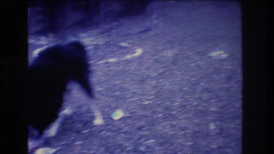 Motion-blurred 8mm frame of the dog moving across the gravel yard near scattered debris in the 1973 Medford home movie.
