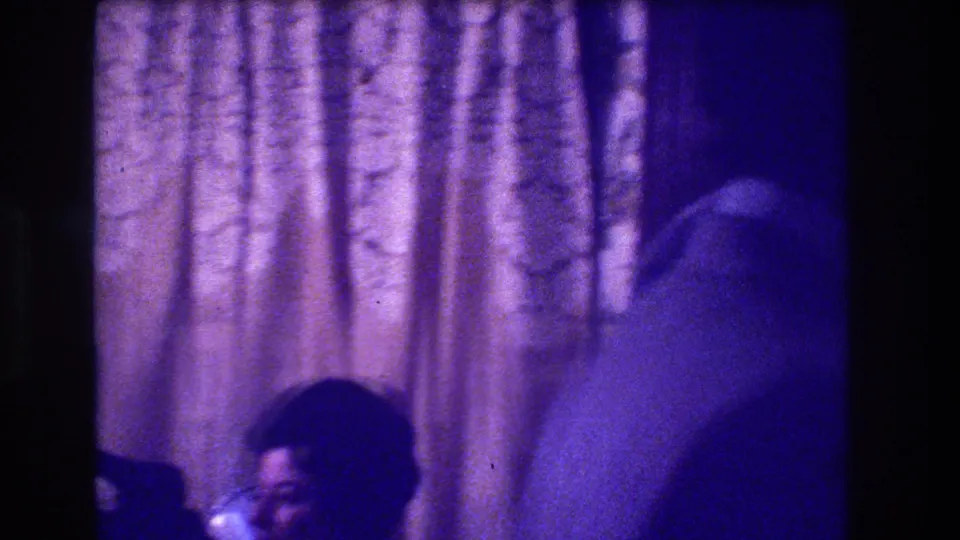 Late-clip 8mm frame showing a figure with an afro turned from the camera, with seated adults and gold brocade drapery behind, in a 1973 New Jersey interior gathering.