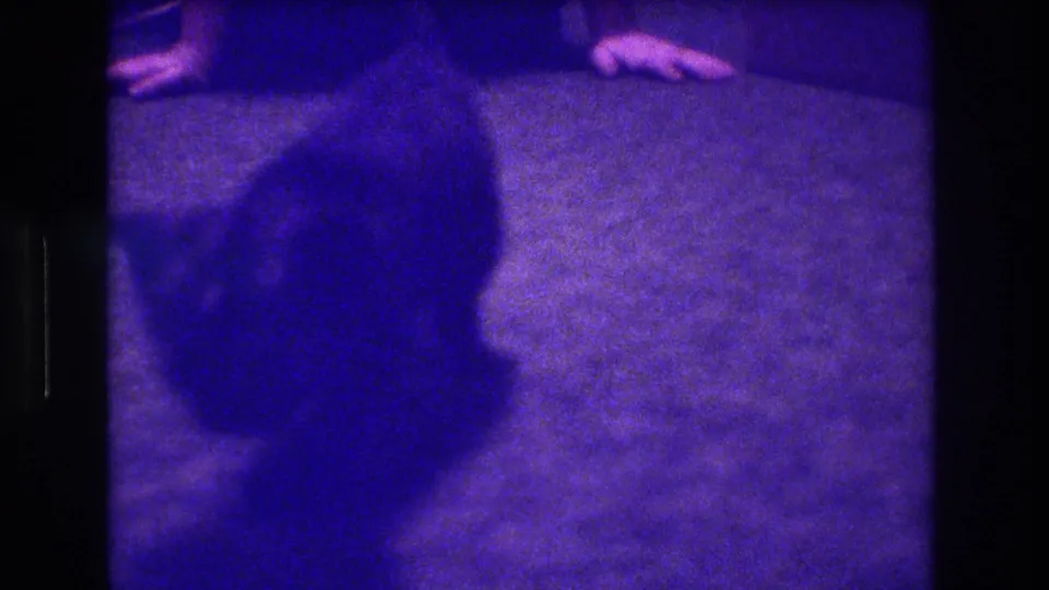 1973 Medford, New Jersey home-movie frame showing a small dark kitten on the carpet with partial human hands visible near the top of the frame.