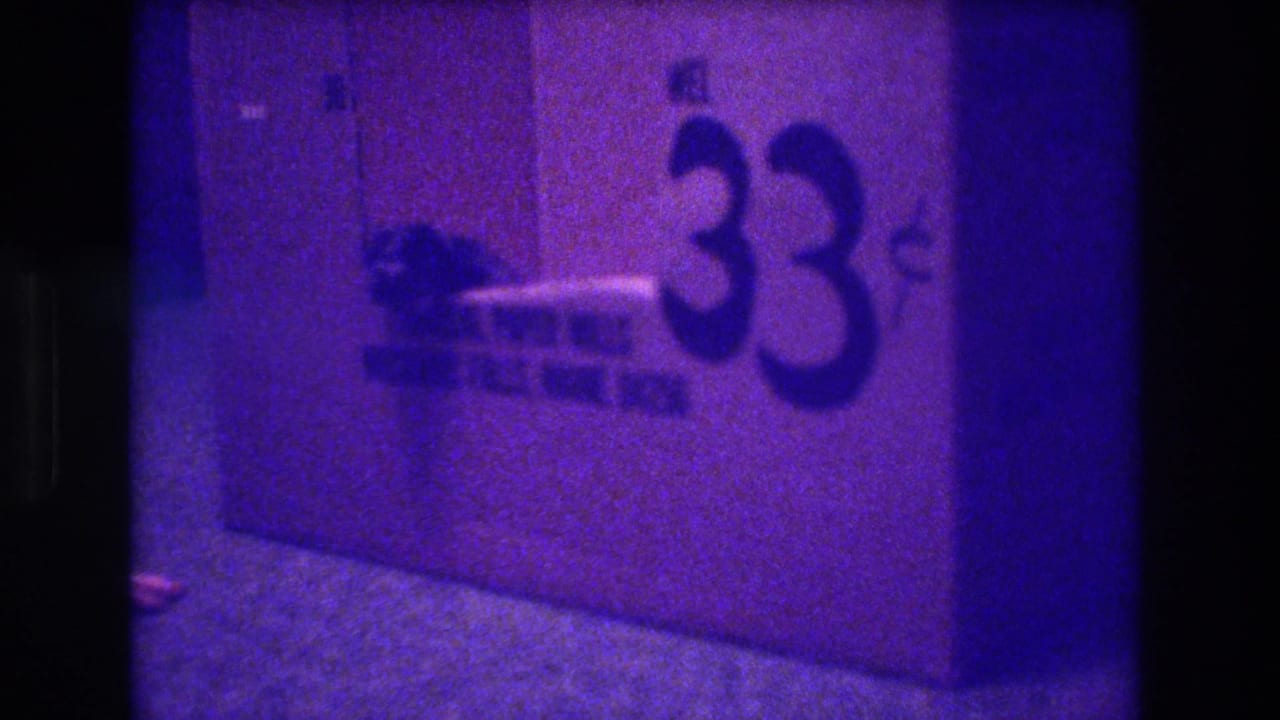 Small dark kitten beside a cardboard box with large black 33 lettering.